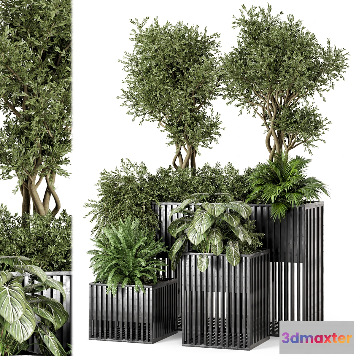 1438128 - Outdoor Plants in Metal Pots - Set 802 3D Max