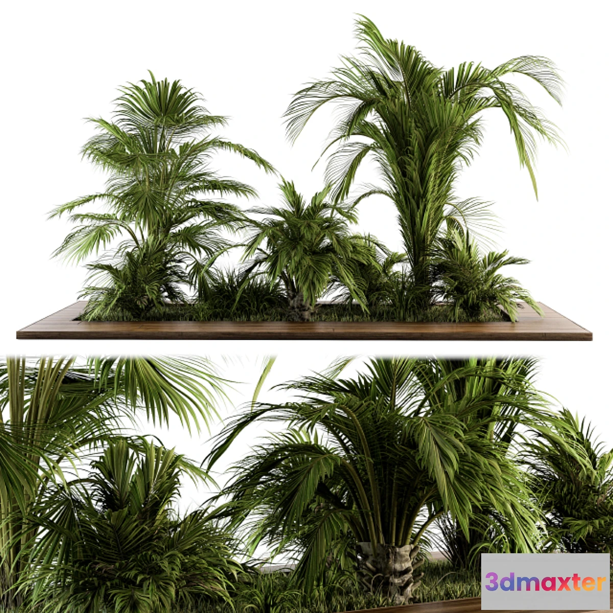 1438608 - Outdoor Plants tree Tropical Garden - Set 143 3D Max