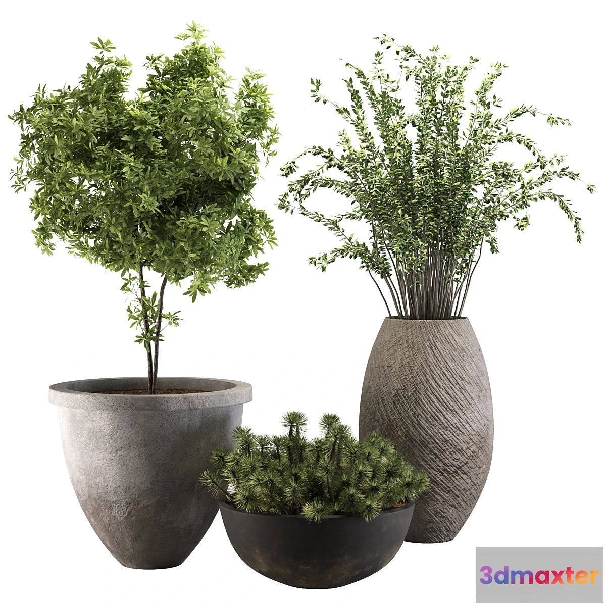 1440856 - out door plant 13 3D Max