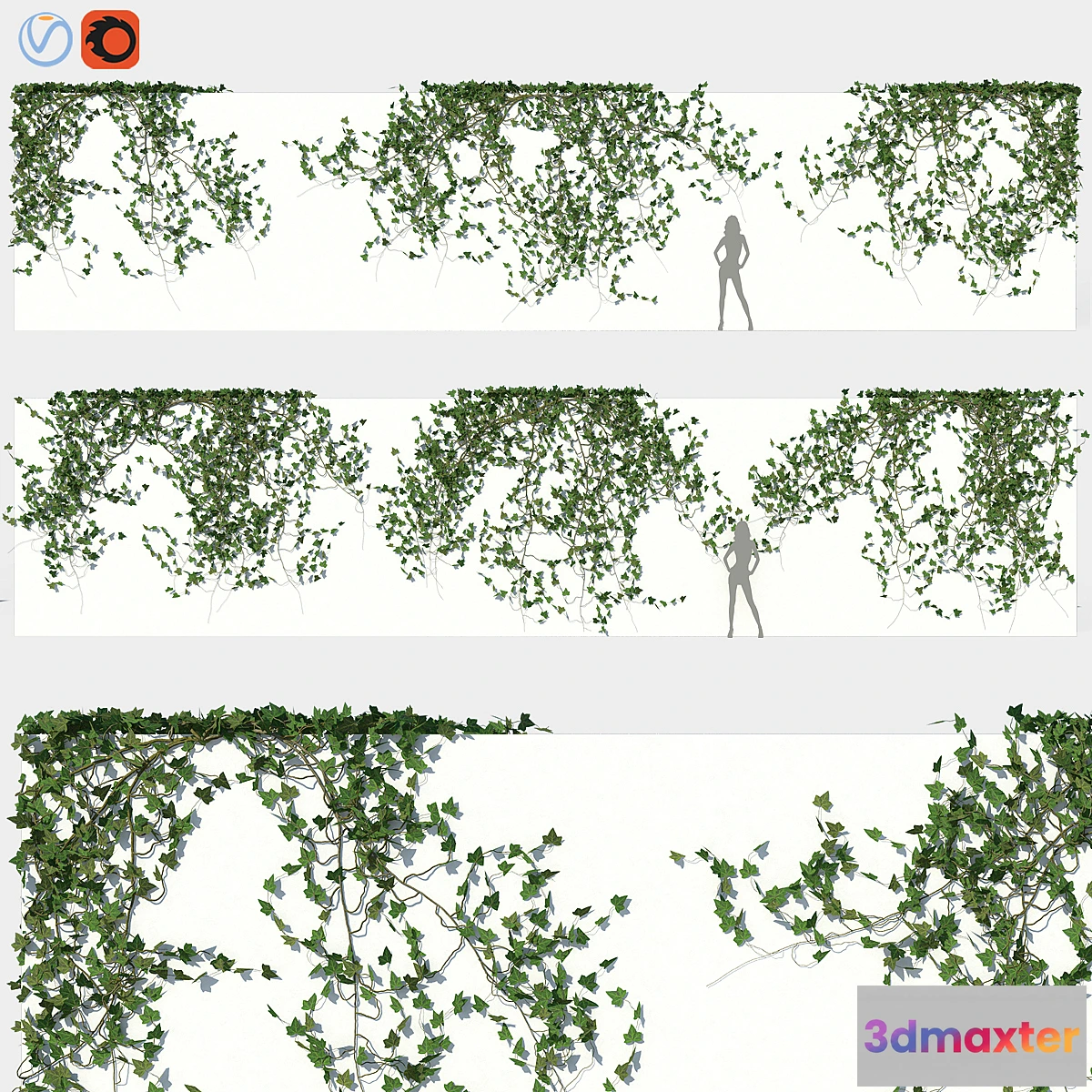 1441738 - Ivy Wall 03 3D Max
