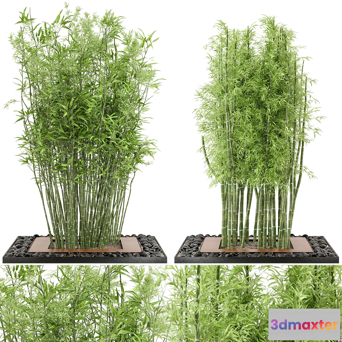 1441946 - Outdoor Plants Bamboo Set Garden Set 21 3D Max