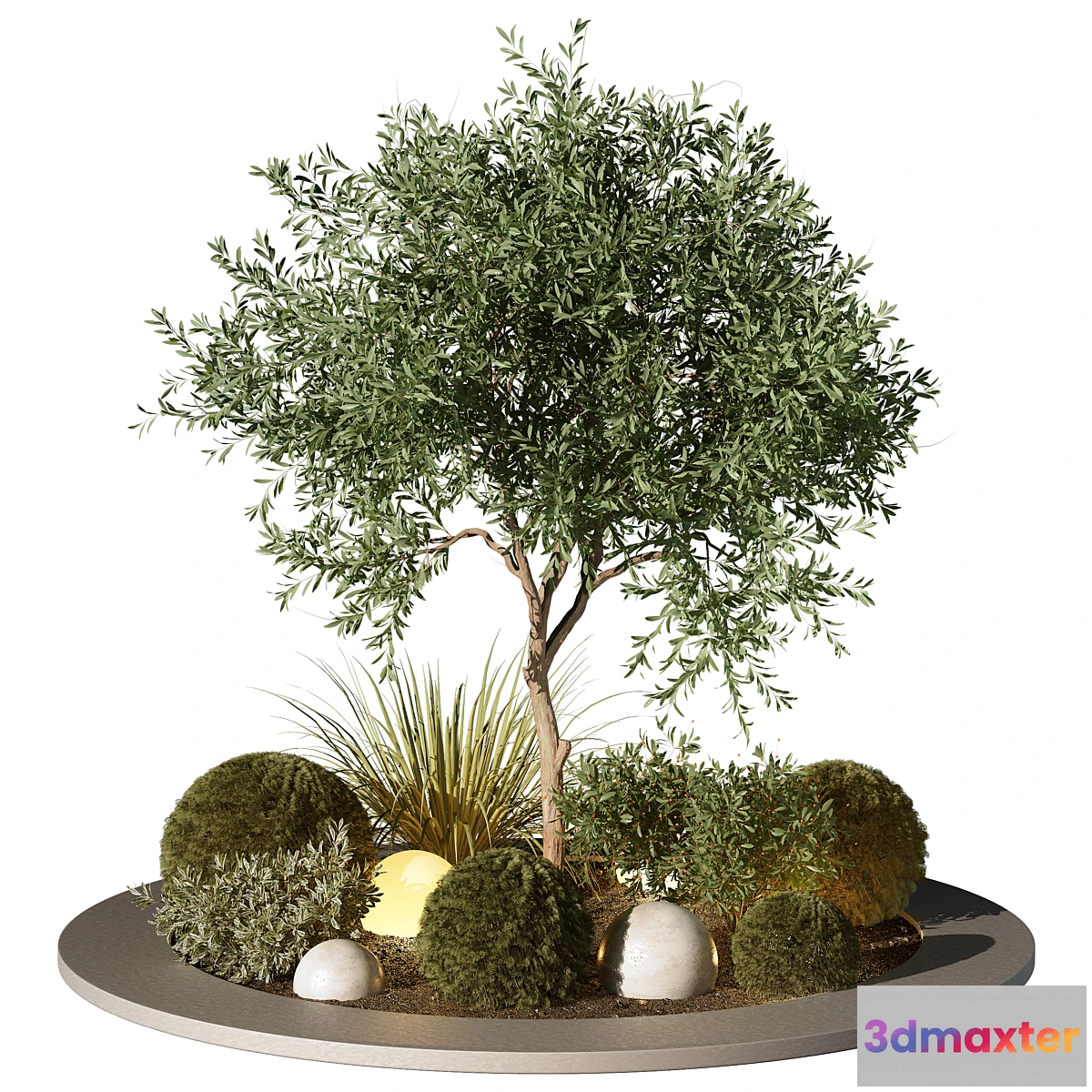 1442582 - Outdoor Plant 196 3D Max