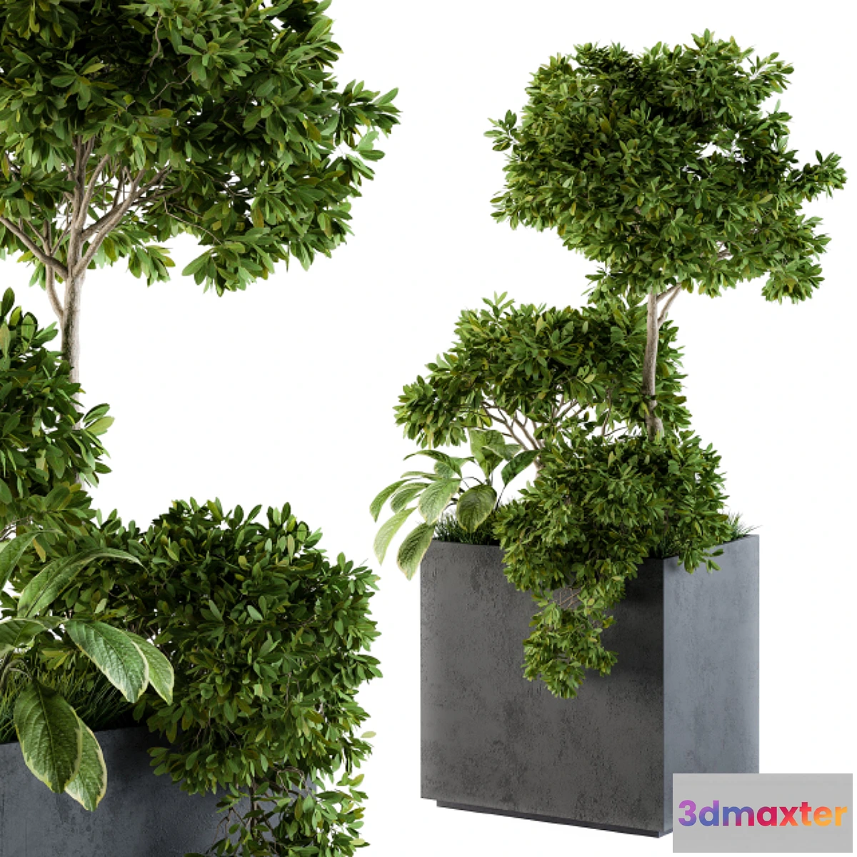 1442950 - Outdoor Plants Concrete Box - Set 58 3D Max