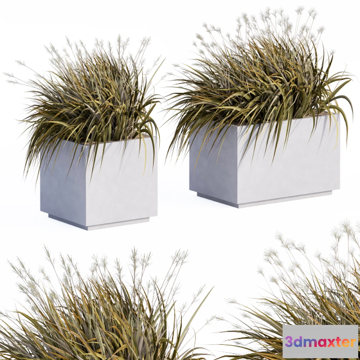 1443492 - Concrete Plants Box 3D Max