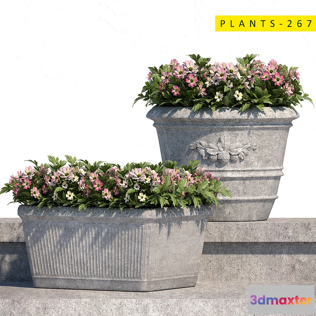 1445528 - plants 267 3D Max