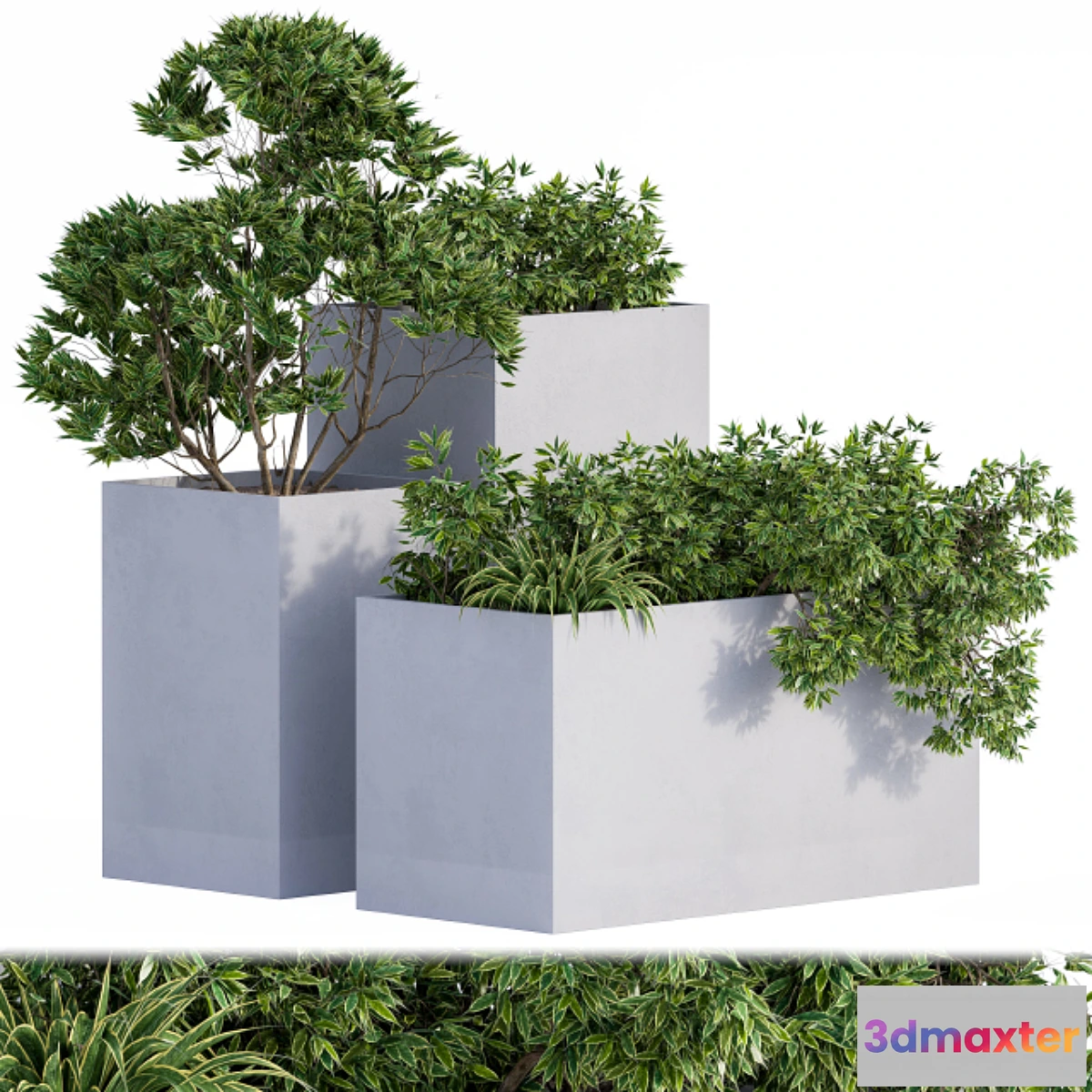 1446966 - Outdoor Plants Box Concrete 3D Max