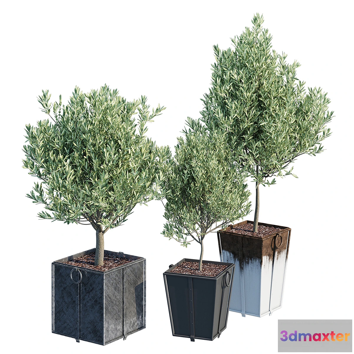 1447734 - Trinway 3D Max