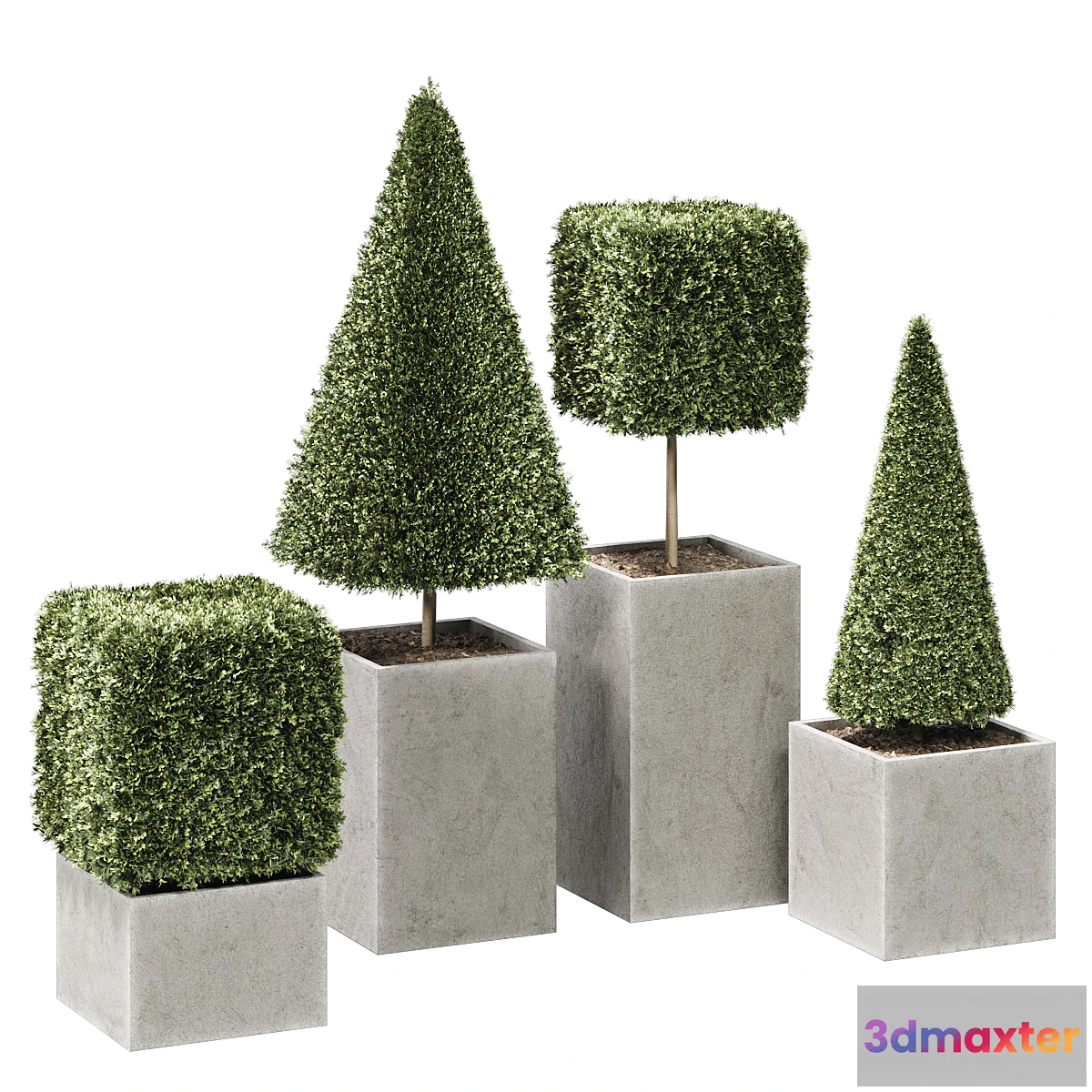 1447834 - plant in pots_set 15 3D Max