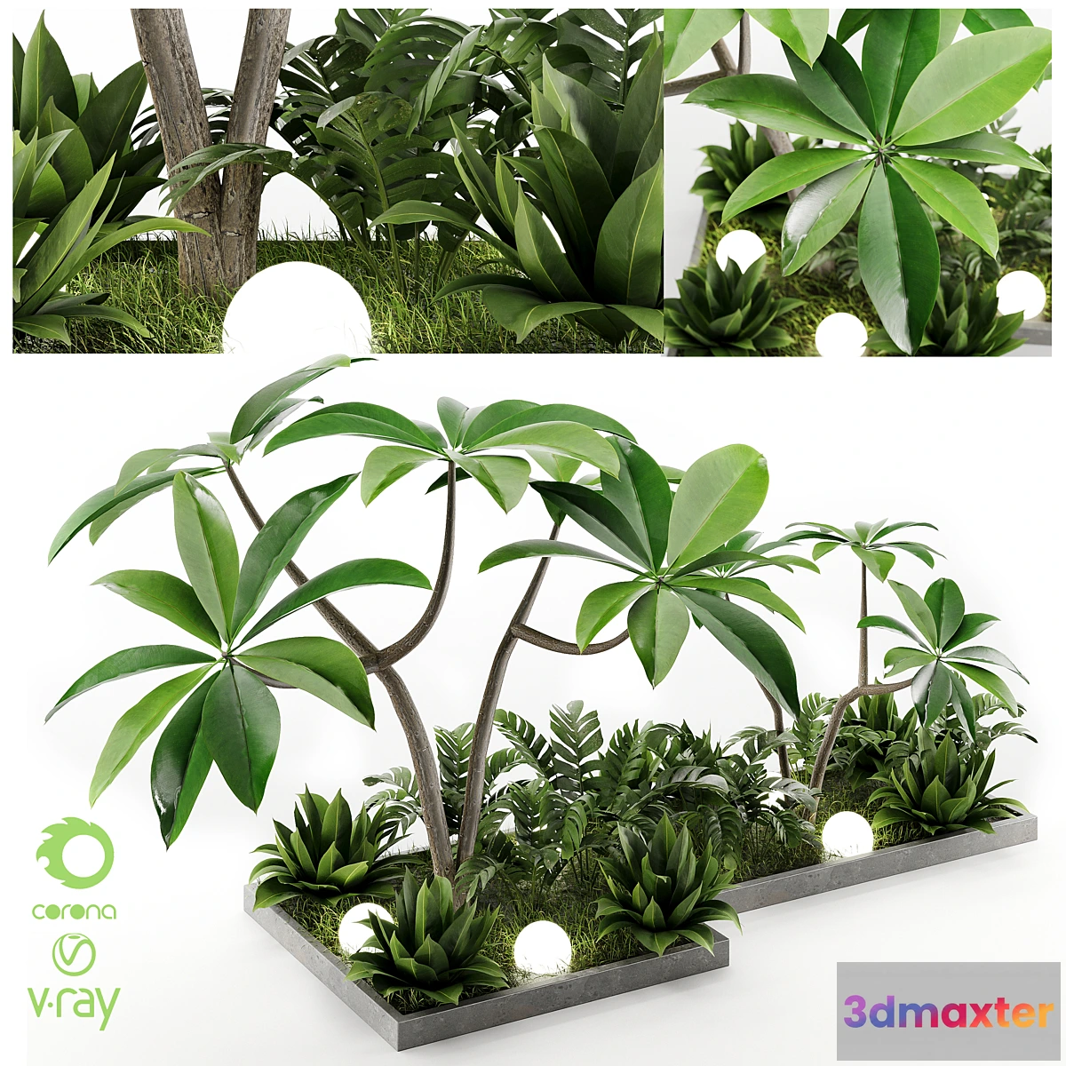 1448388 - Outdoor Plant Vol1 04 3D Max