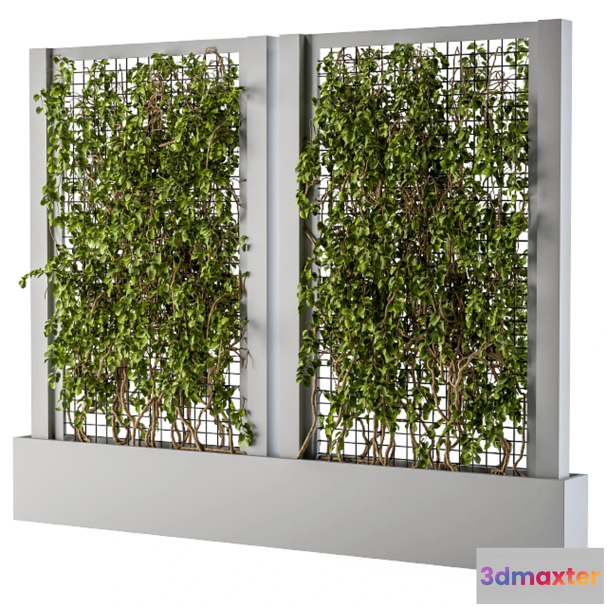 1451140 - ivy Box Plants Gray 3D Max