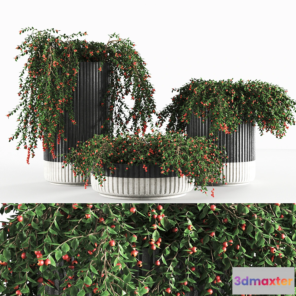 1453088 - plant933 3D Max