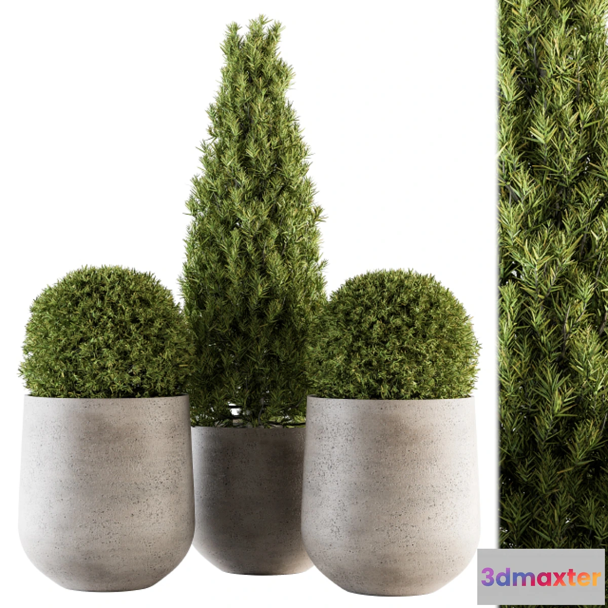 1453498 - Outdoor Plants tree in Concrete Pot - Set 143 3D Max