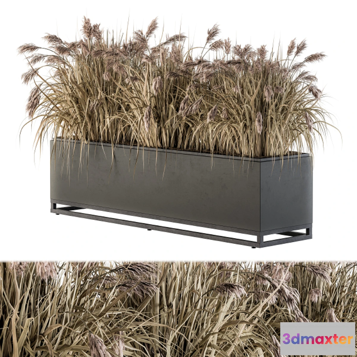 1453740 - Outdoor Plant Set 184 - Plant Box Dried 3D Max