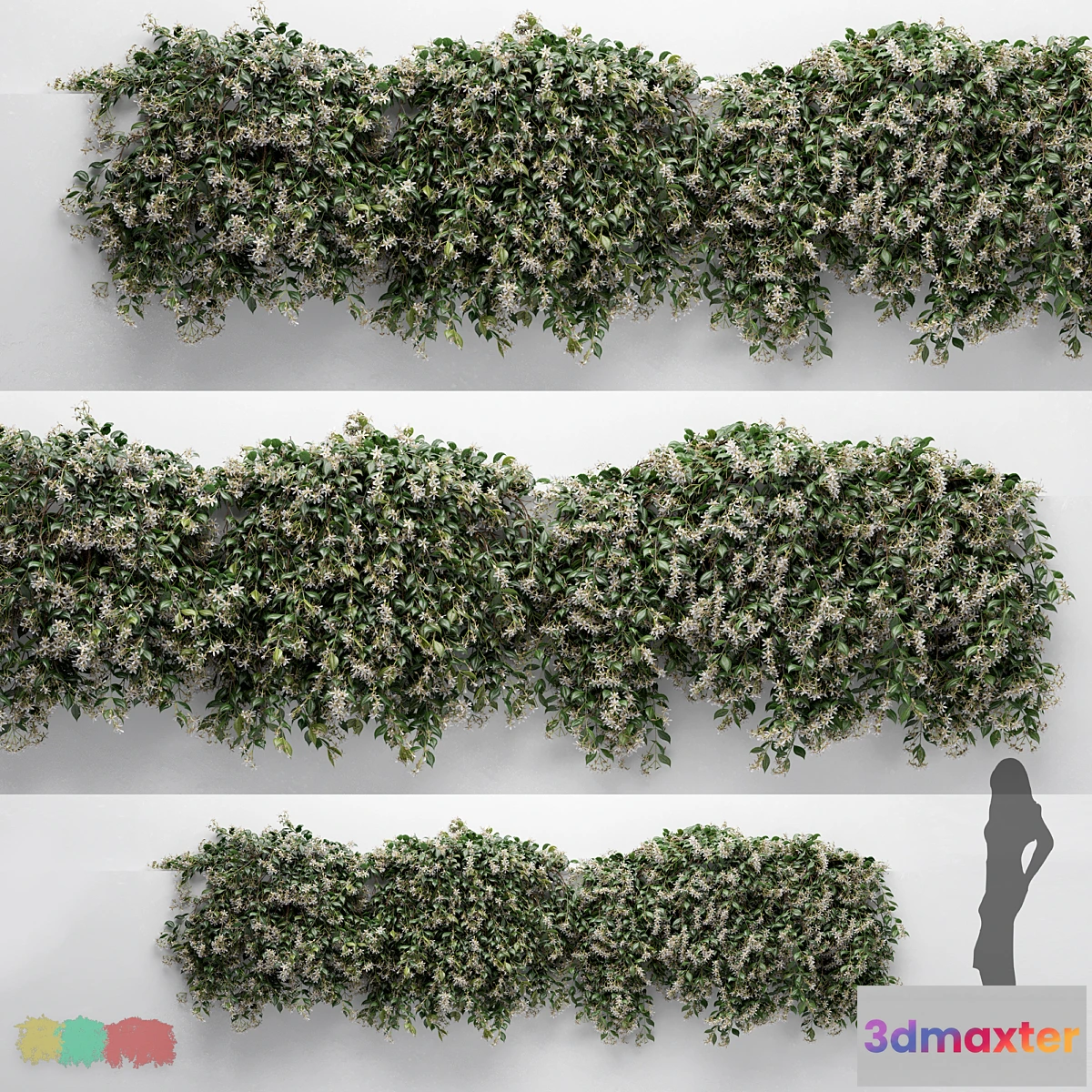 1454456 - Hanging Plant - ChoisyaTernata - 3 Modular Pieces 3D Max