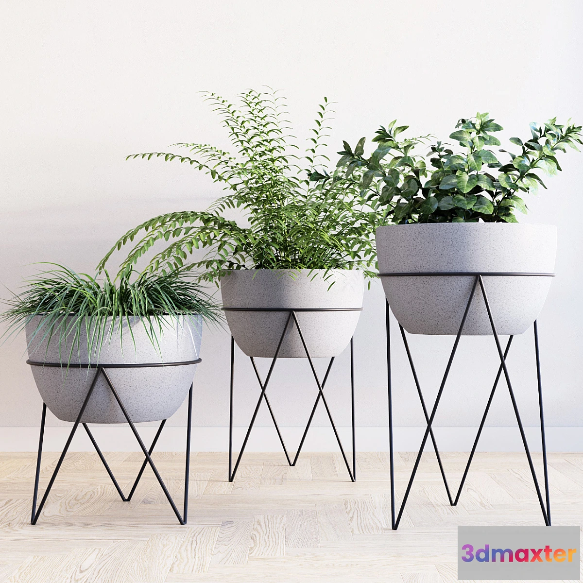 1454834 - Iris planter with chevron stand 3D Max