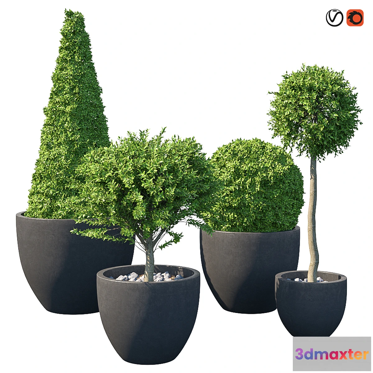 1457410 - Street bushes in pots IV 3D Max