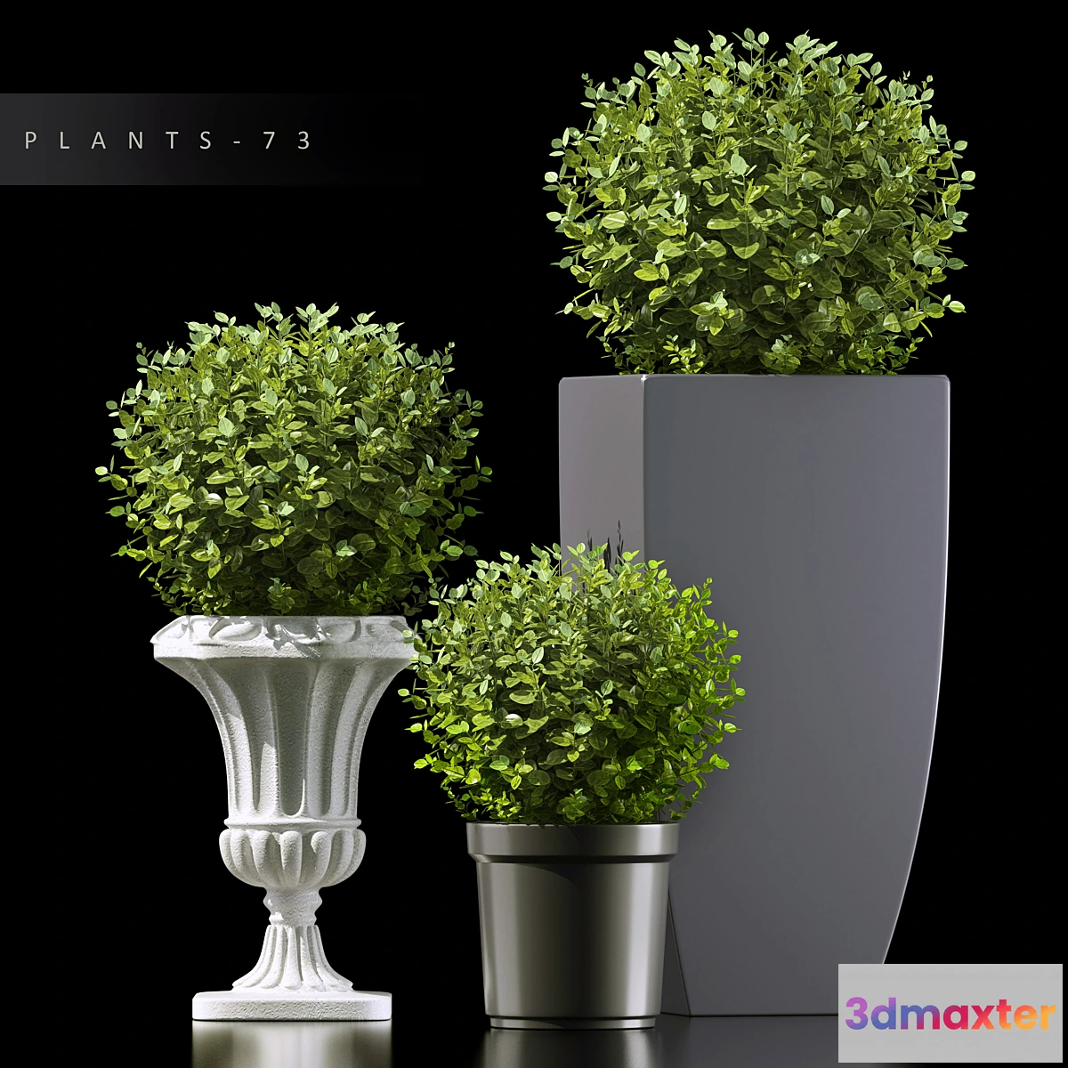 1461468 - PLANTS 73 3D Max