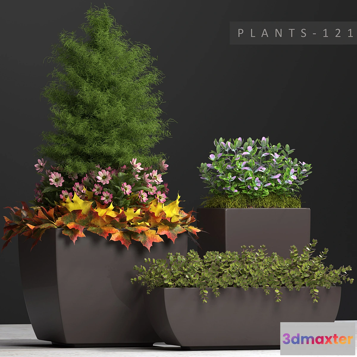 1461746 - PLANTS 121 3D Max