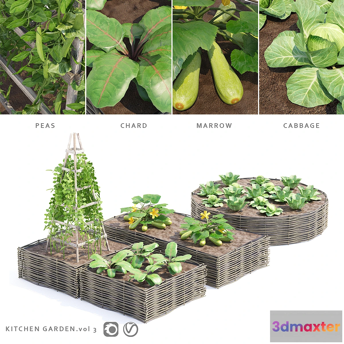 1462074 - Vegetable garden  Kitchen garden.vol 3 3D Max