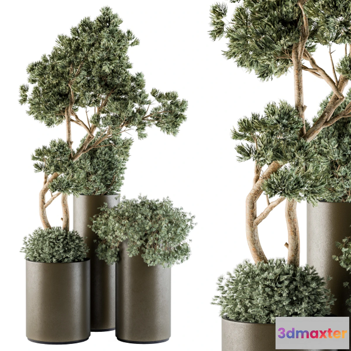1462262 - Outdoor Plants tree in Metal Pot - Set 102 3D Max