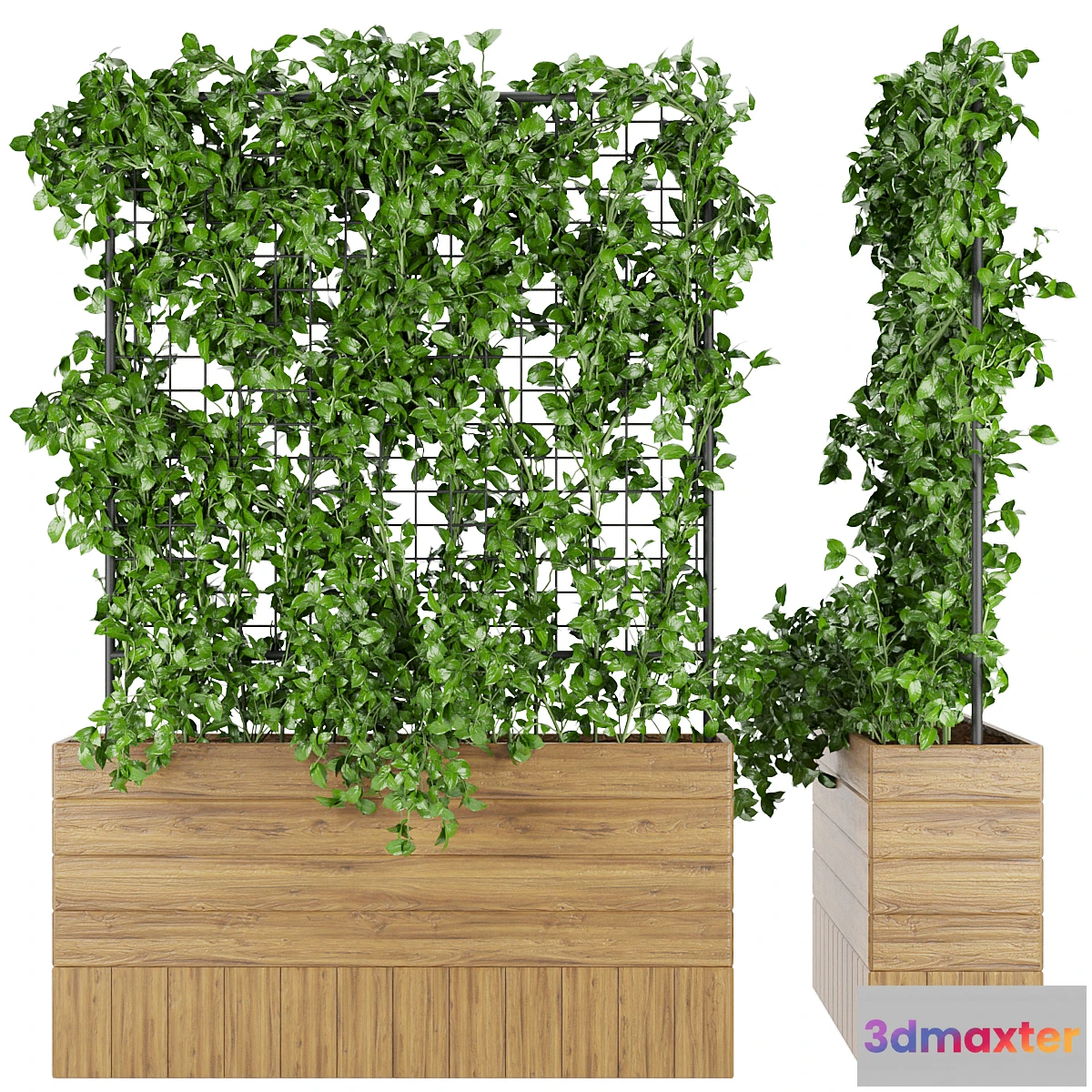 1462710 - Collection plant vol 102 3D Max