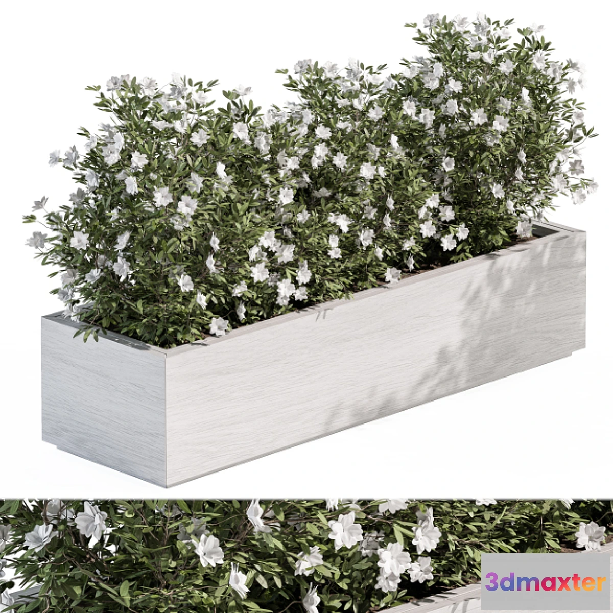 1463956 - Outdoor Plant Set 304 - Plant Box 3D Max