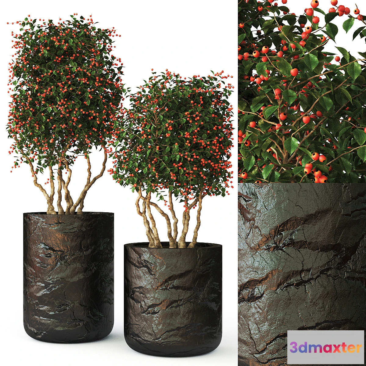 1464270 - plant1146 3D Max