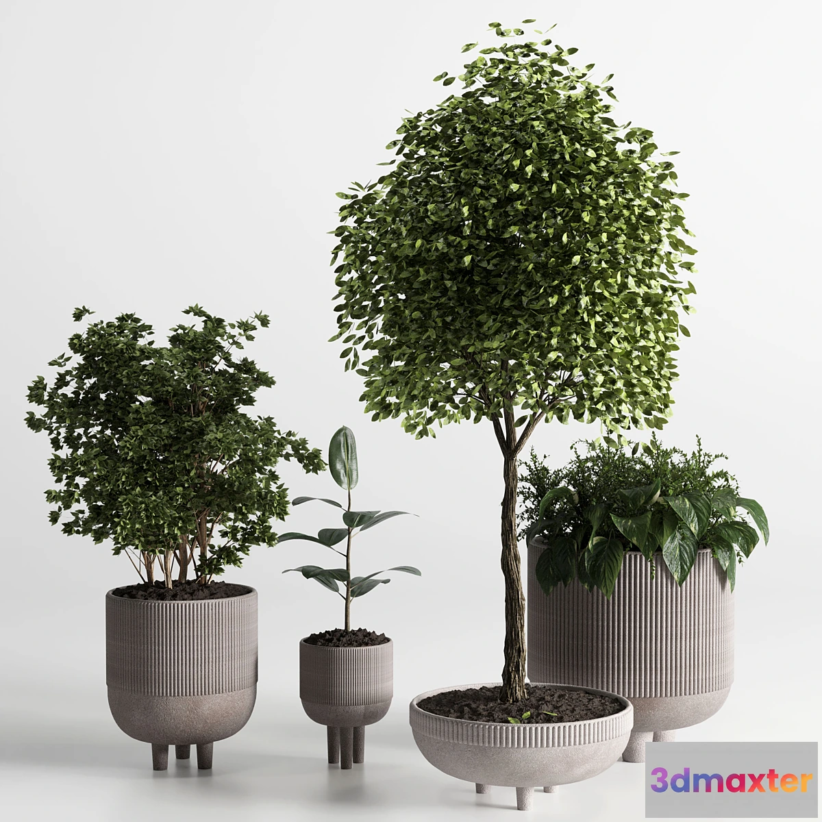 1464348 - Indoor plant 12 3D Max