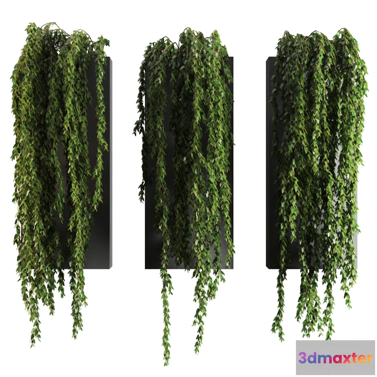 1464834 - plant718 3D Max