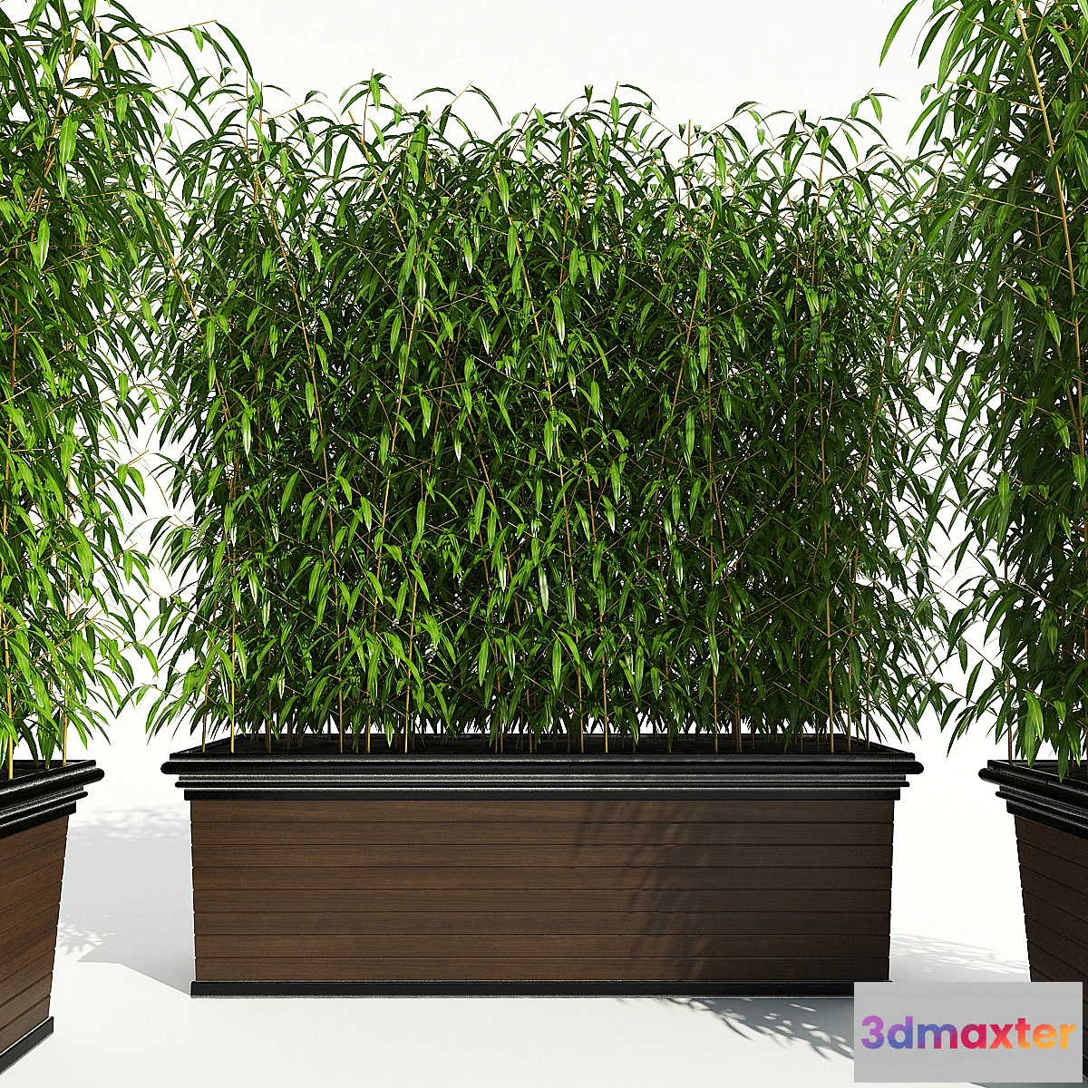 1465528 - Decorative Plant 2 3D Max