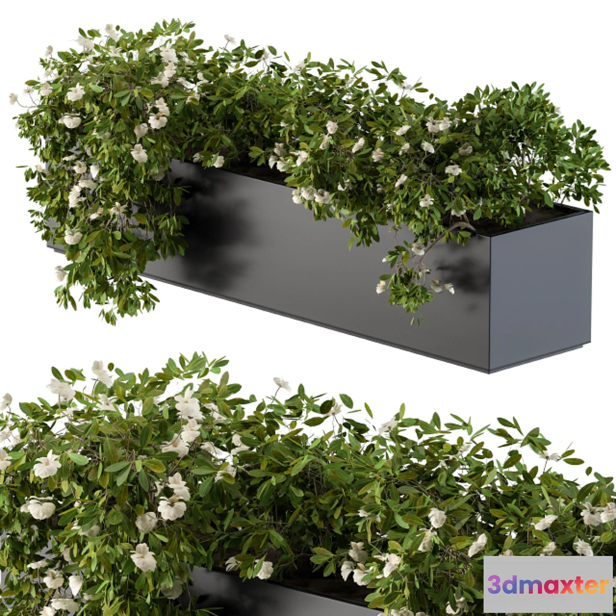 1468598 - Modern Planter Box White Flower 3D Max