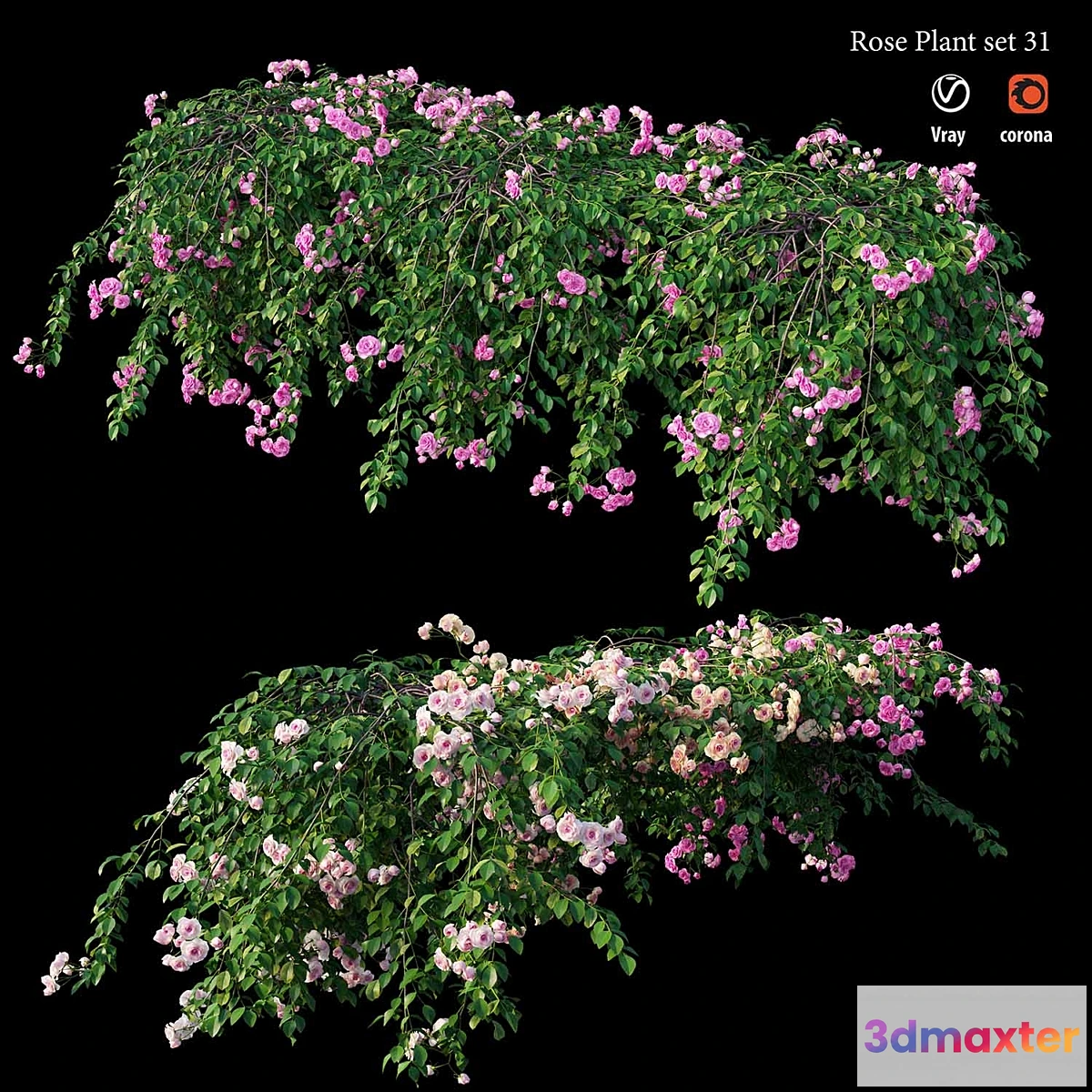 1470928 - Rose plant set 31 3D Max