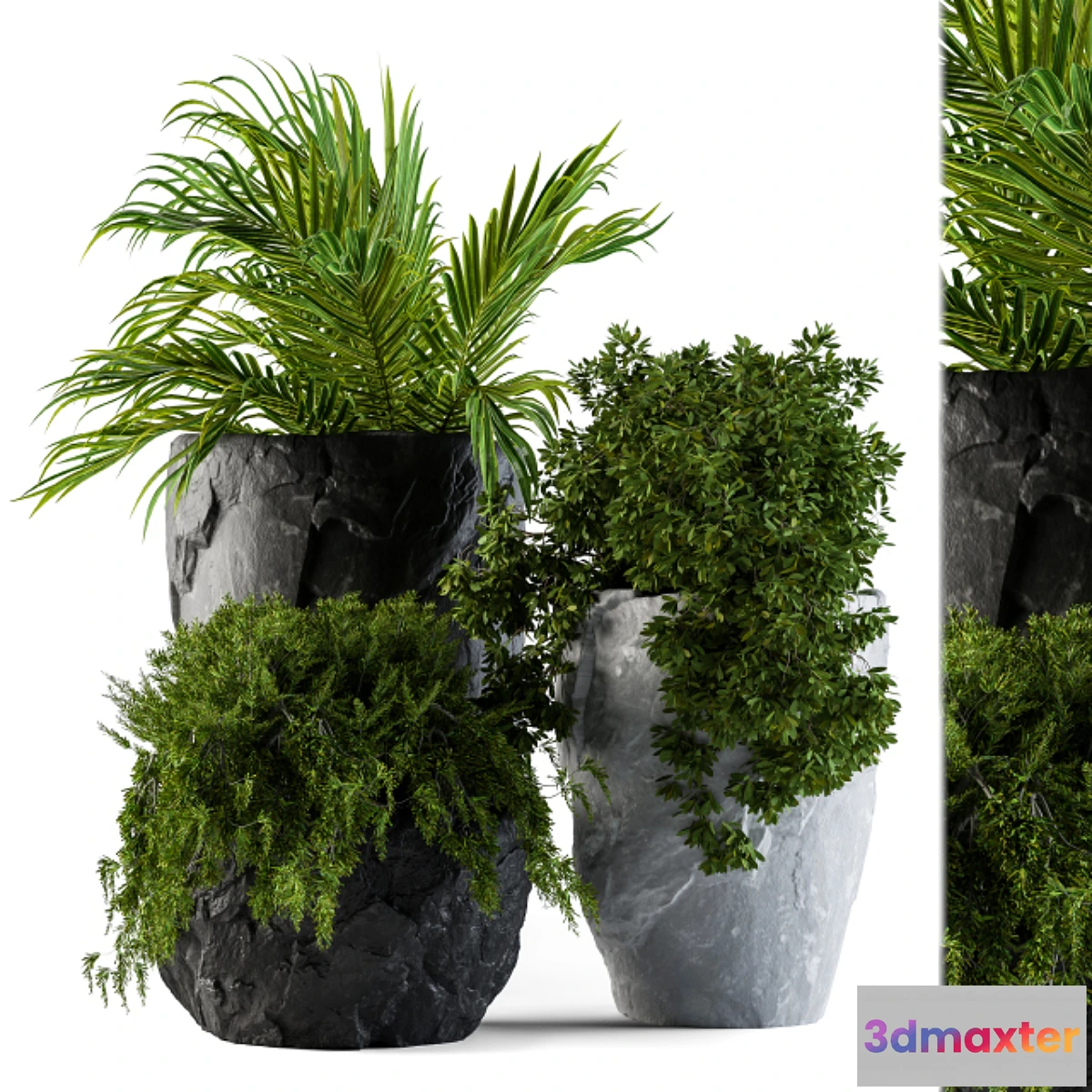 1471214 - Plants set rock pot 3D Max