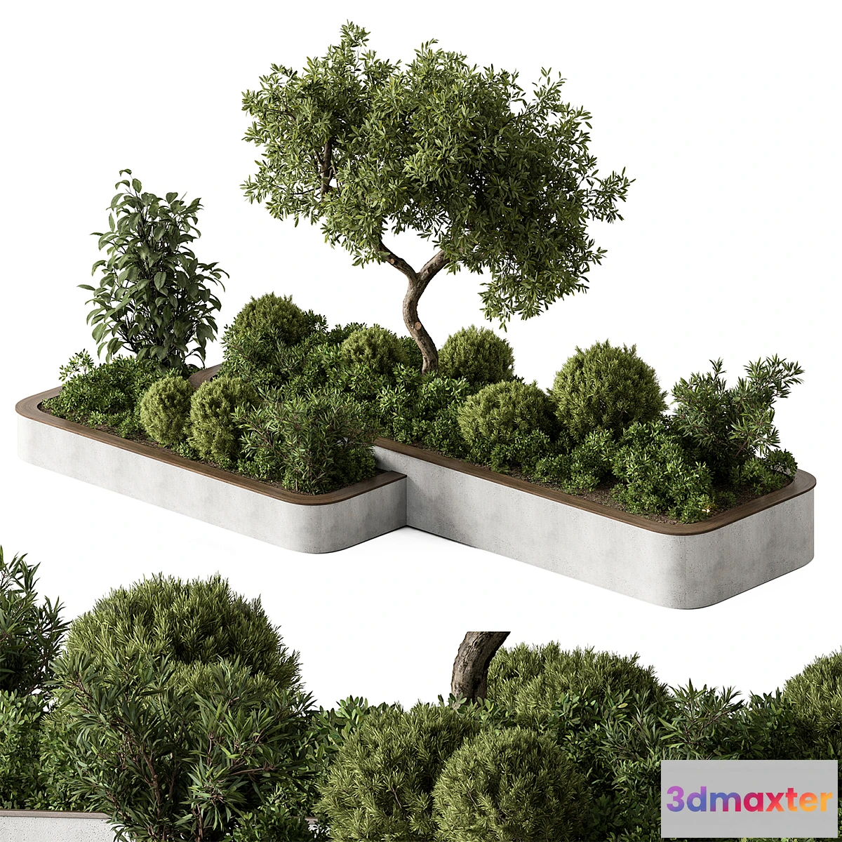 1472088 - Plant Box - Outdoor Plants 588 3D Max