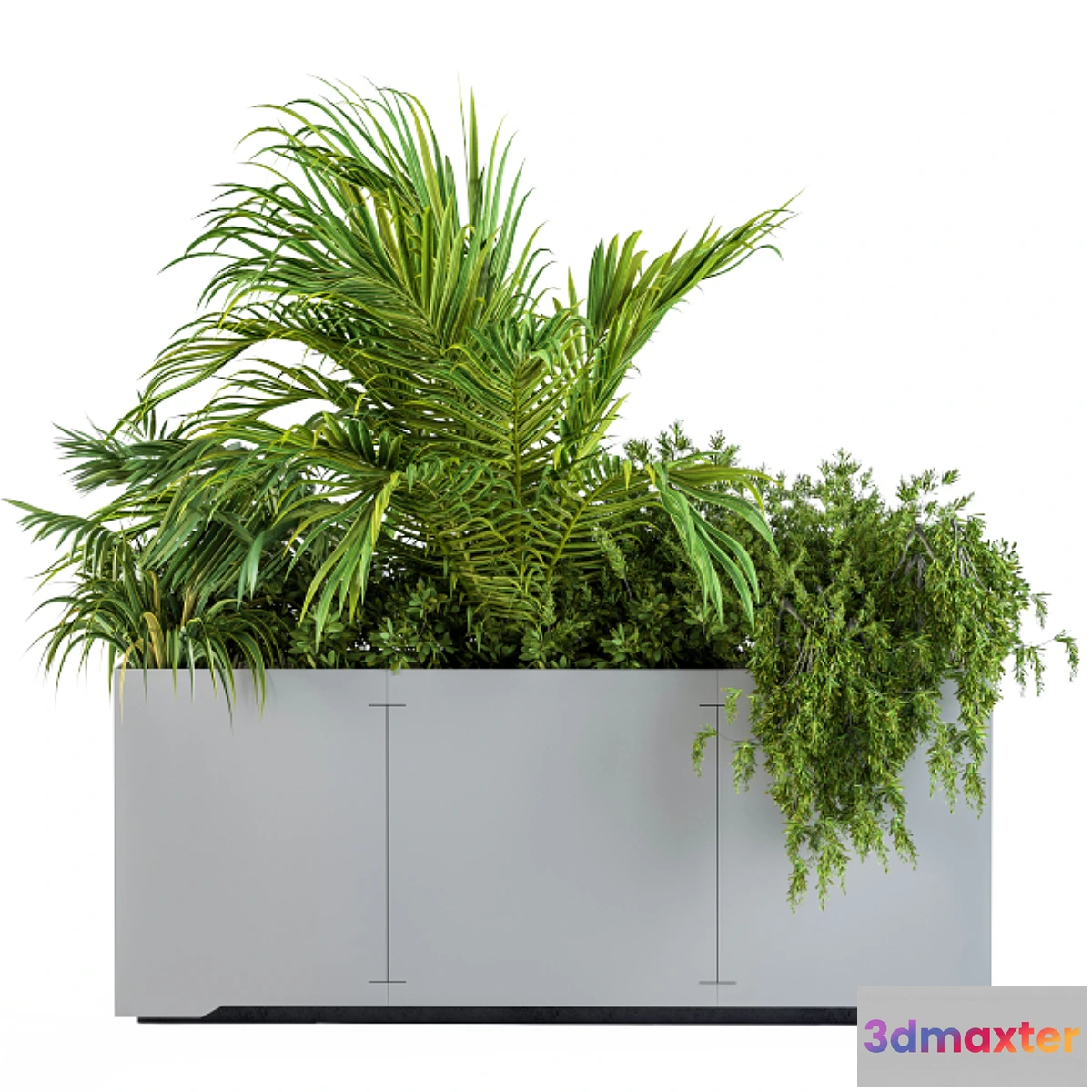 1474826 - Gray Plants Box with Tropical plant 3D Max