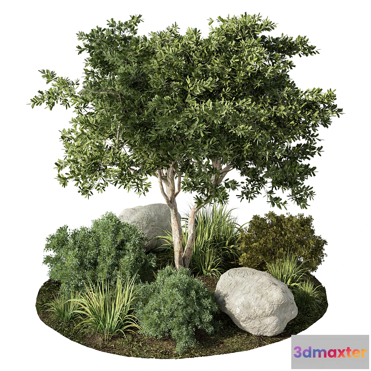 1477390 - Outdoor Garden Plants Set.41 3D Max