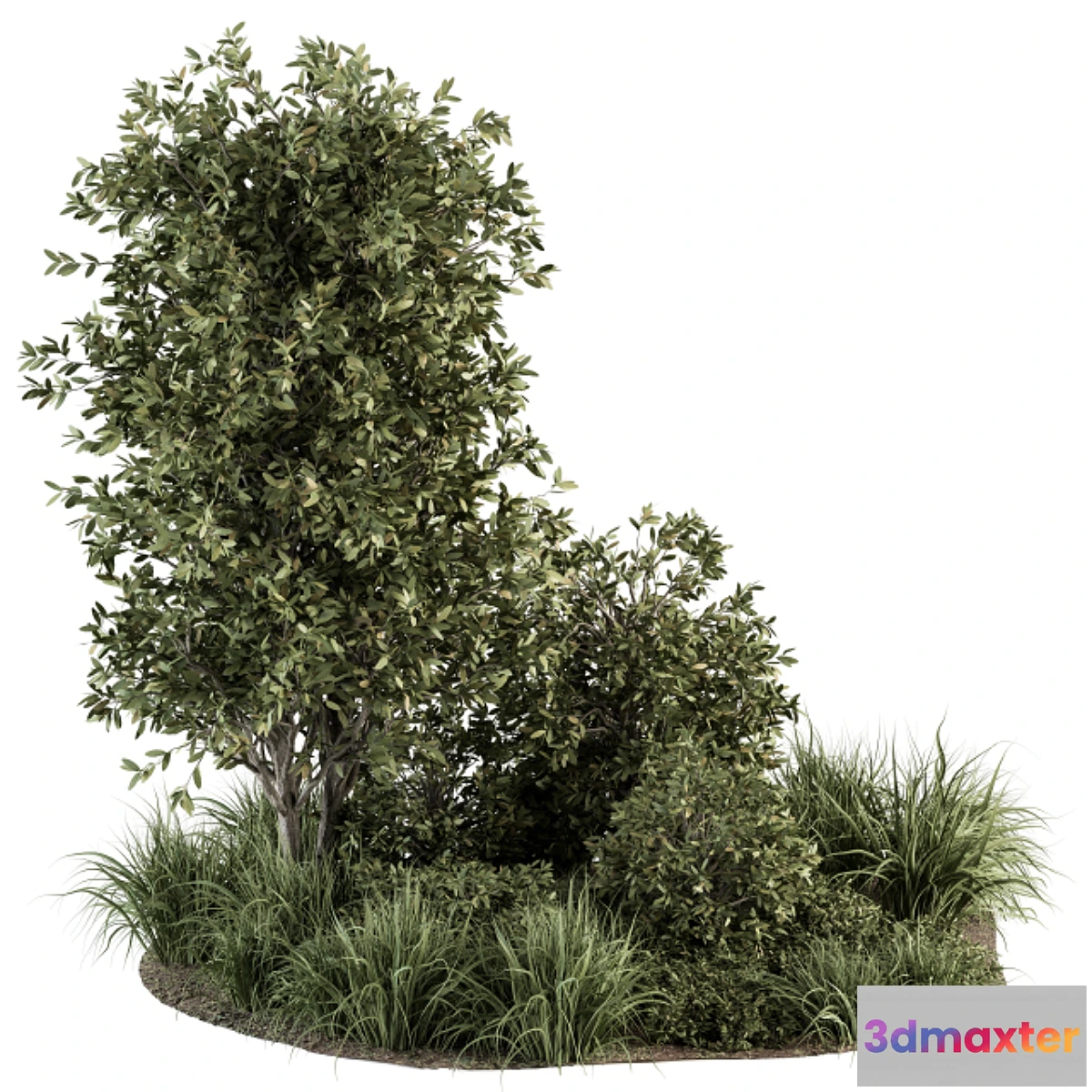 1477608 - Garden Set Plants - Outdoor Plants Set 307 3D Max