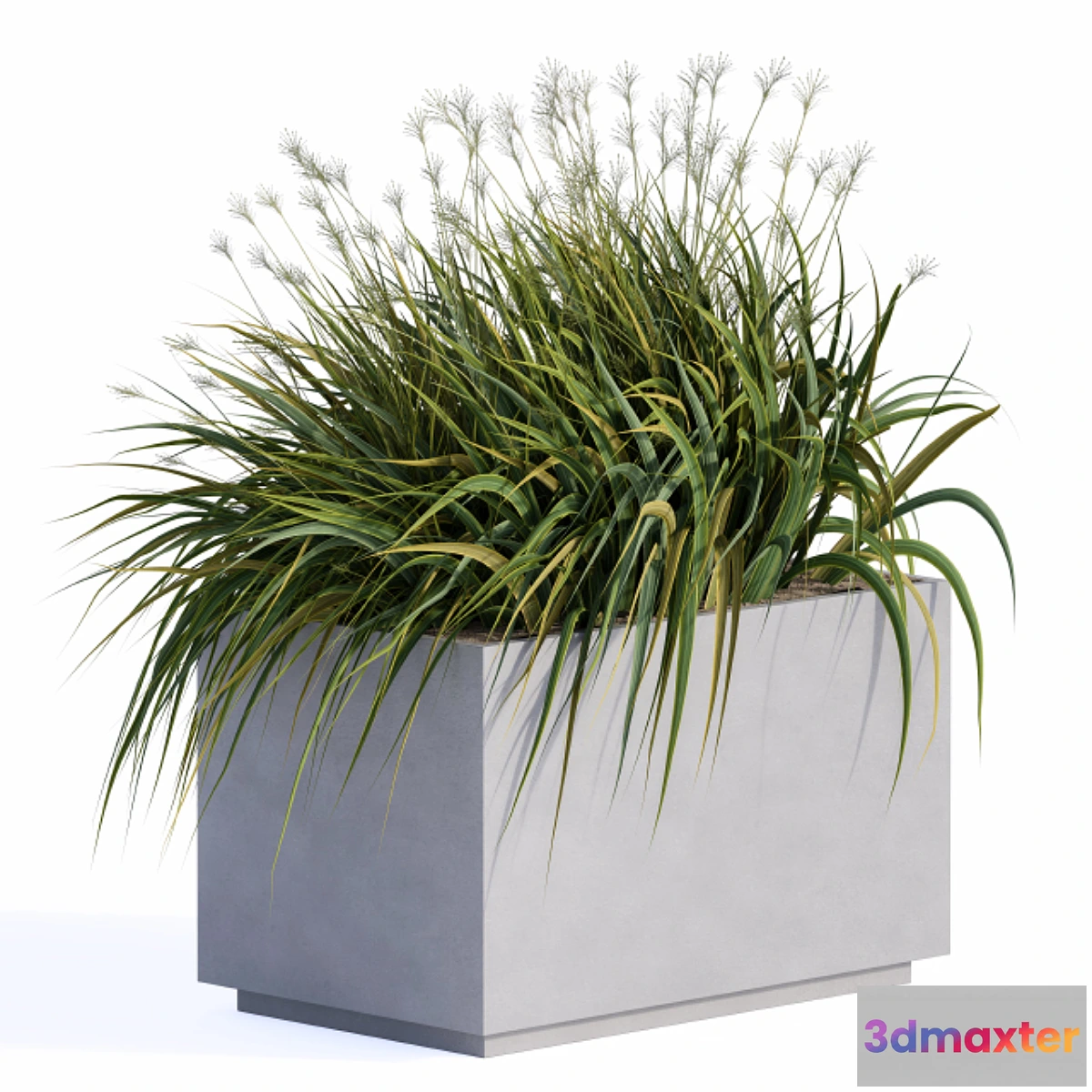 1478854 - windy grass and Plants in Concrete Box 3D Max