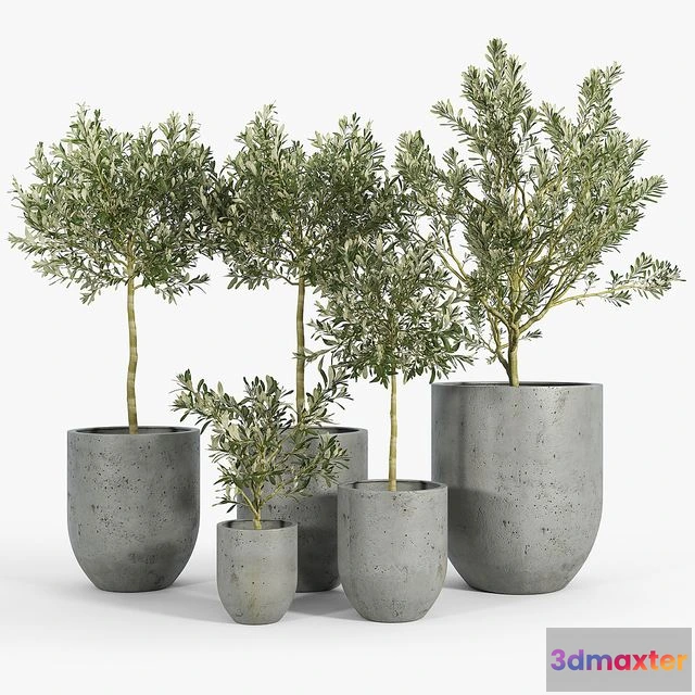 1538430 - Neo Planter Extra Small Lead 3D Max