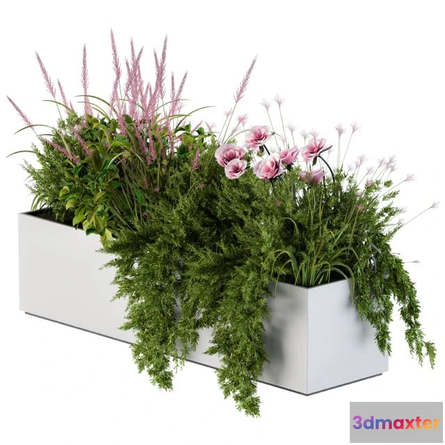 1538654 - Planter Box For Windows Pink Flower 3D Max