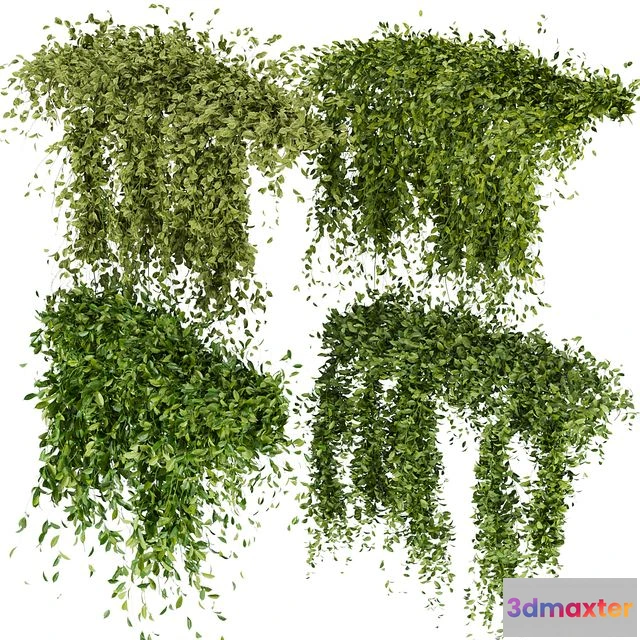 1539867 - Collection Plant Vol 293 - Fitowall - Leaf - Ivy 3D Max