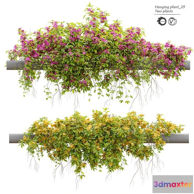 1542065 - Hanging Plant 23 3D Max