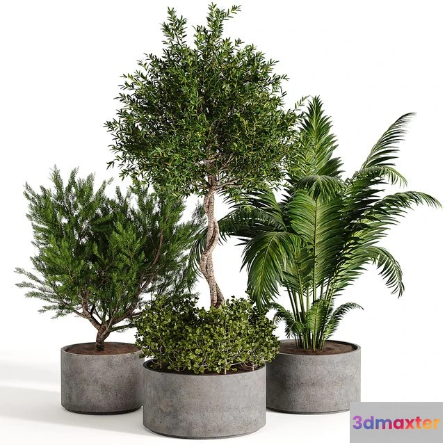 1544227 - Outdoor plant collection 02 3D Max