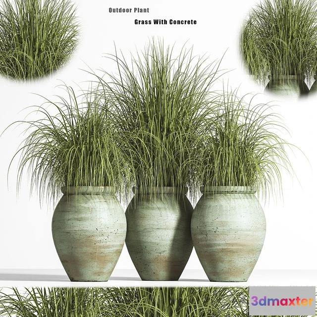 1544229 - Outdoor Plant set 01 3D Max