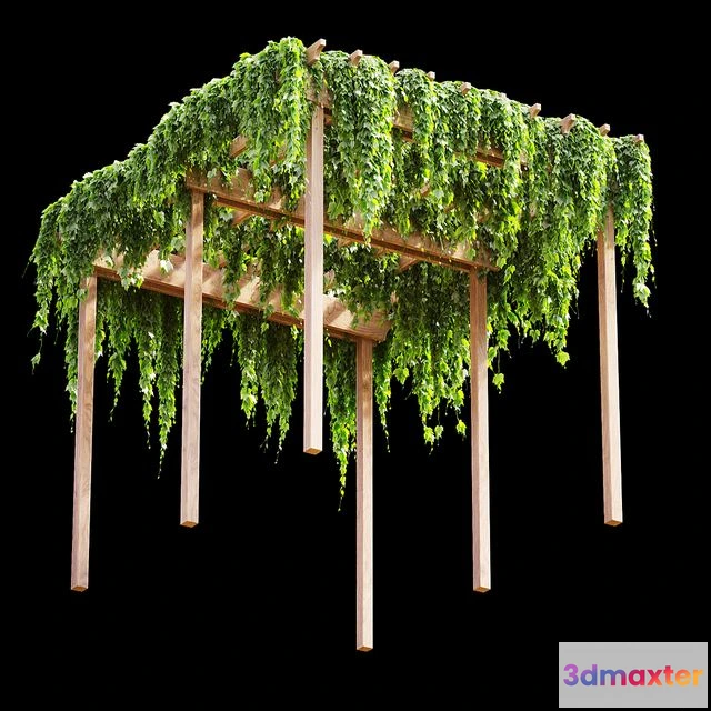 1544331 - Pergola with grape leaves v2 3D Max