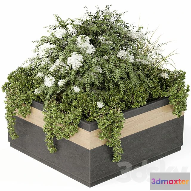 1545347 - Outdoor Plant Set 02 3D Max