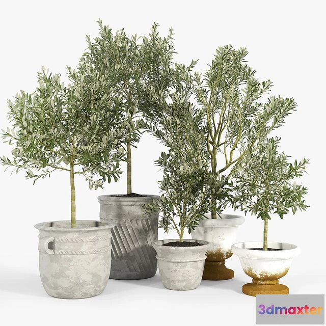 1545784 - Eclectic Villa Planters 3D Max