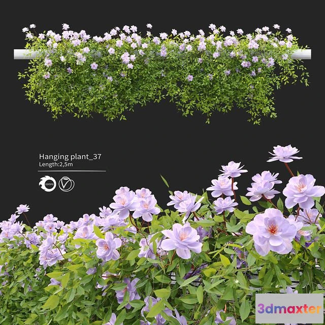 1545892 - Hanging Plant 37 3D Max