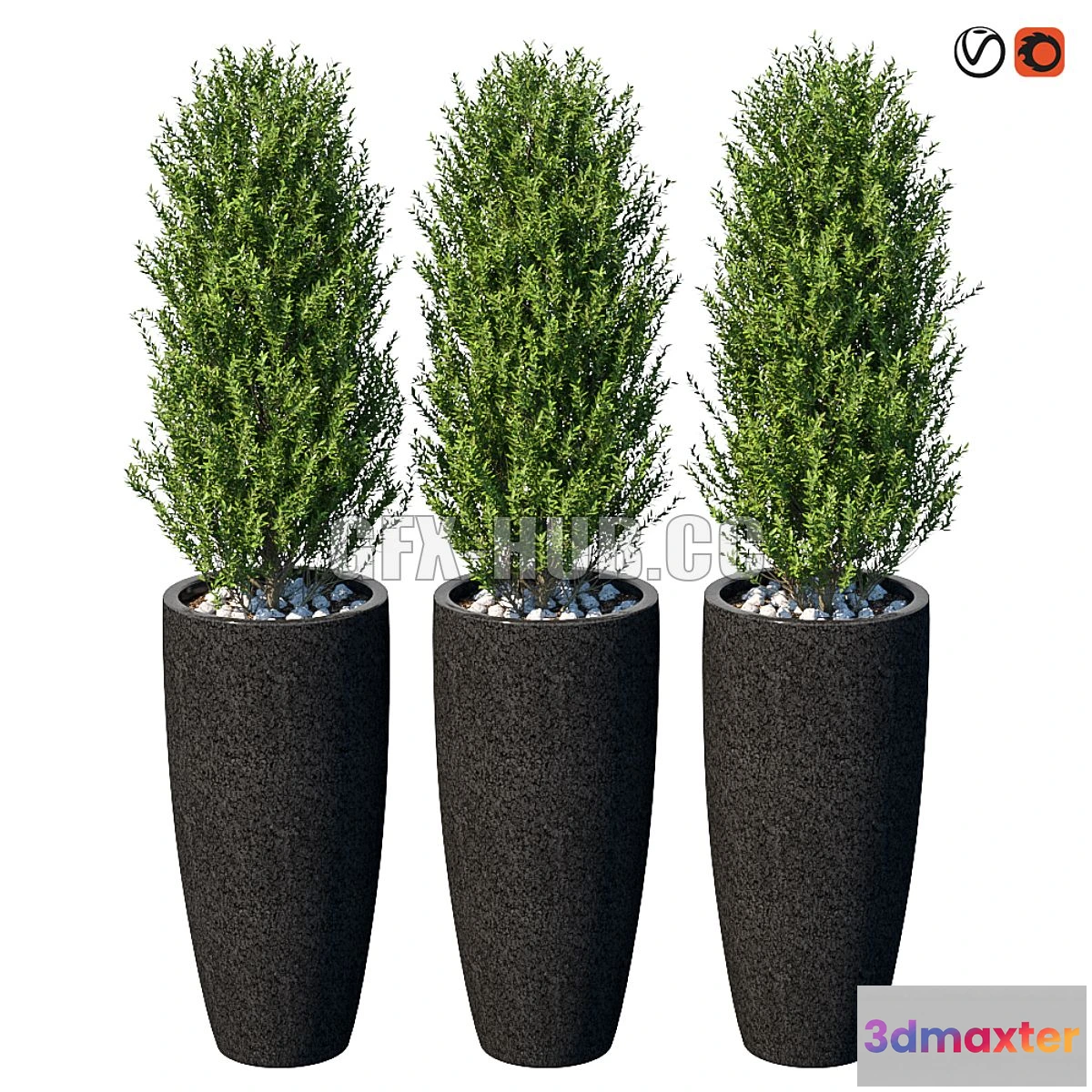 1546783 - Street bushes in pots VI 3D Max