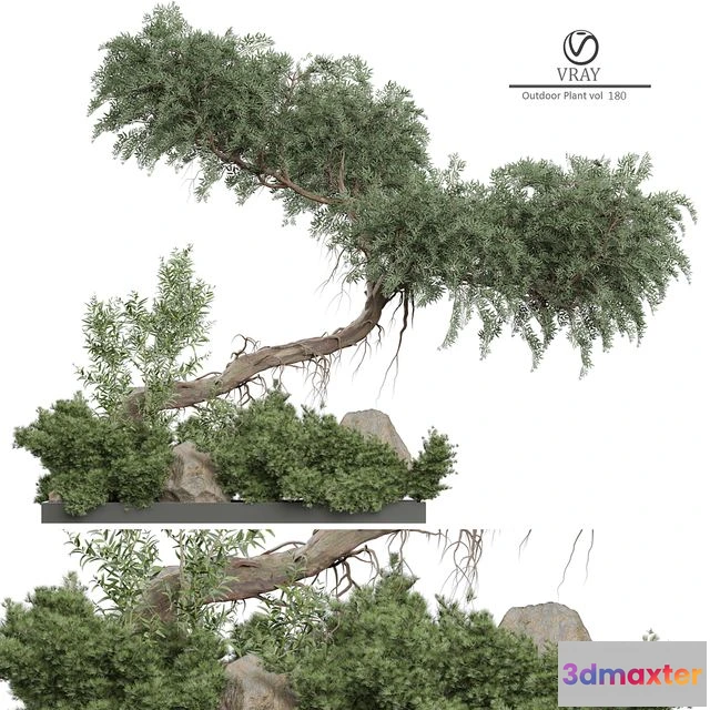 1547510 - Outdoor Plant 180 3D Max